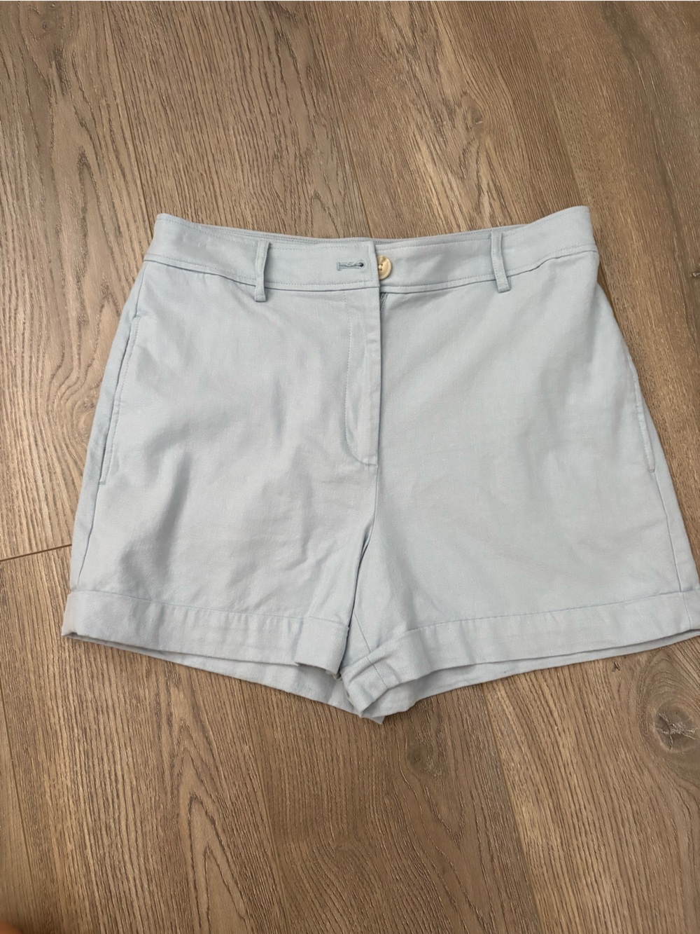 LOFT Pale Blue Chino Shorts